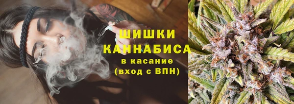 прущие грибы Абинск