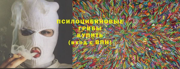 шишки Алексеевка